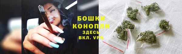 ПСИЛОЦИБИНОВЫЕ ГРИБЫ Надым