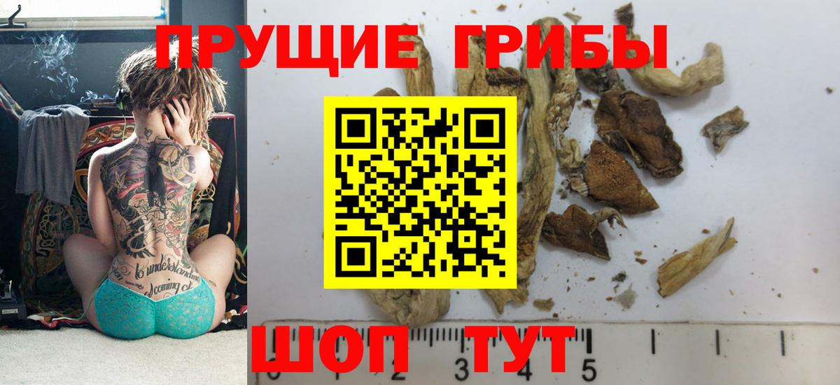 А ПВП Кузнецк