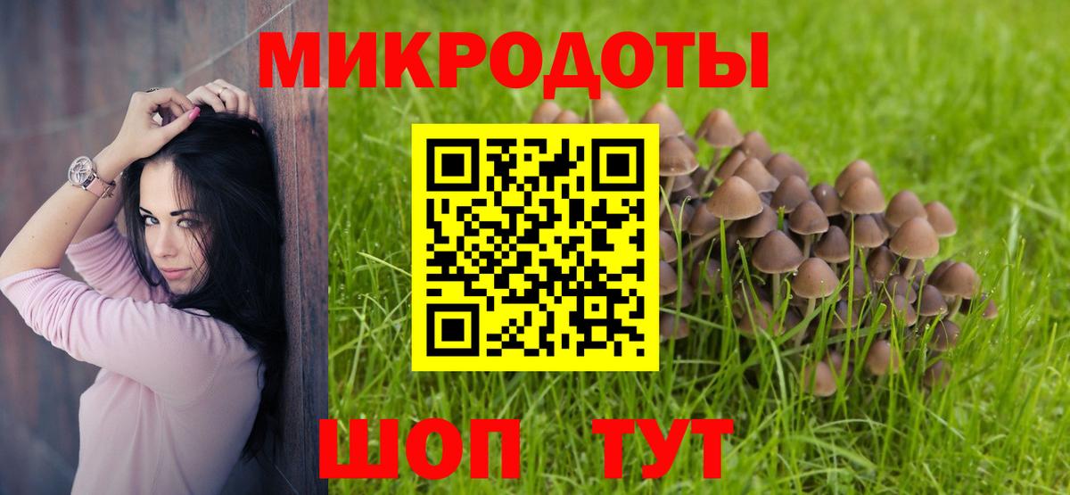 Галлюциногенные грибы GOLDEN TEACHER  Галлюциногенные грибы MAGIC MUSHROOMS  Кузнецк  Вход с VPN 