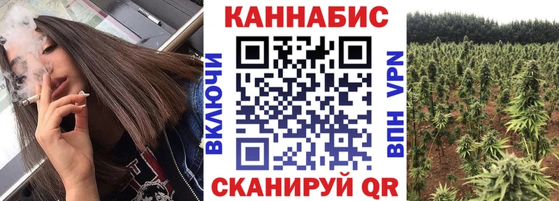 Марихуана планчик  сколько стоит  Кузнецк 